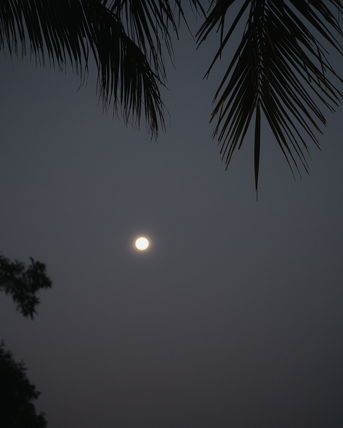 Sandy & Gavin wedding at Mia Nha Trang in Nha Trang — photo 25
